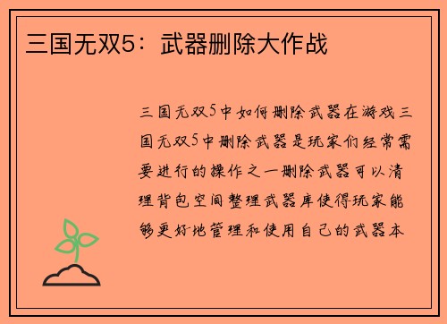 三国无双5：武器删除大作战